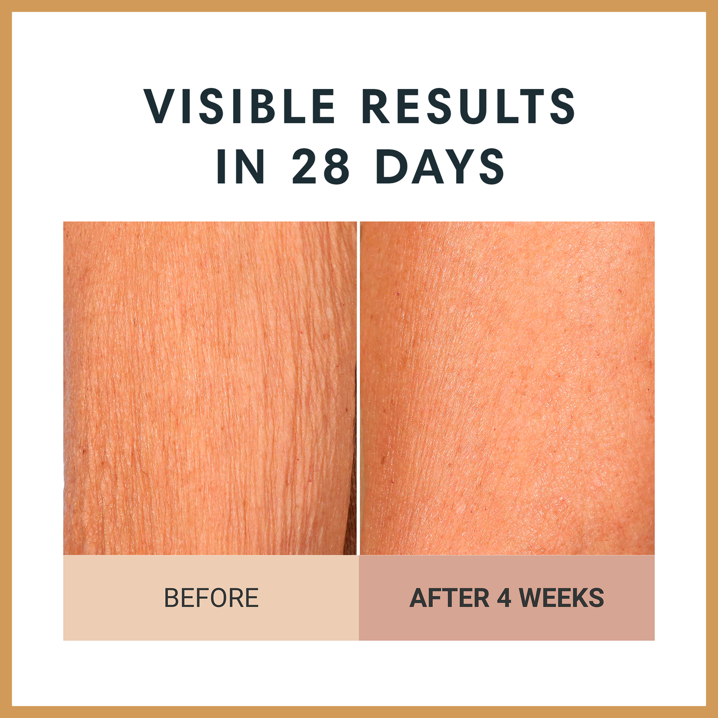 Champagne Firming Body Cream
